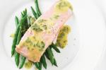 British Steamed Salmon With Tarragon Vinaigrette Recipe Dinner