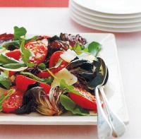 American Grilled Radicchio and Roasted Tomato Salad Appetizer