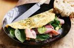 American Ham And Spinach Omelette Recipe Appetizer