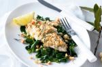 American Macadamiacrusted Fish With Lemon Spinach Recipe Appetizer