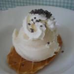 French Vanilla Ice Cream V Recipe Dessert