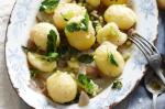 American Herb And Garlic Potato Salad Recipe Appetizer
