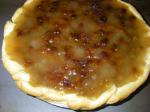 Two Crust Raisin Pie recipe