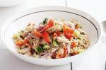 American Tuna Tabbouleh Salad Recipe Appetizer
