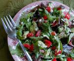 American Green Salad With Mozzarella and Tomatoes Appetizer