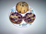 American Cornmeal Blueberry Wheat Germ Muffins Appetizer