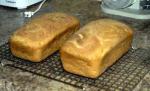American Wheat Bread  Loaves Dessert
