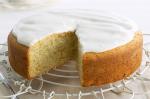 American Basic Butter Cake Recipe Dessert
