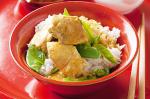 American Yellow Coconut Chicken Curry Recipe Appetizer