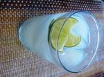 American Gin Rickey 11 Appetizer