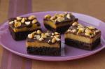 Indian Peanut Butter Brownies 13 Dessert