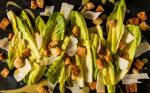 French Caesar Salad Recipe 16 Appetizer
