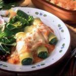 American Spinach Cannelloni and Curd Appetizer