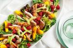 American Summer Pork Salad Recipe Appetizer