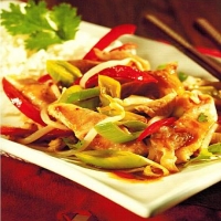 American Stir Fried Vegetables with Turkey Appetizer