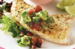 Canadian Cajun Fish With Avocado And Chargrilled Capsicum Salsa Recipe Appetizer