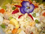 French Moms Macaroni Salad 6 Appetizer
