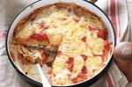 American Spinach And Ricotta Frying Pan Lasagne Recipe Appetizer