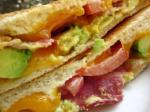 American Grilled Cheddar Bacon and Avocado Sandwiches Appetizer