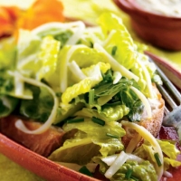 Romanian Romaine with Creamy Poblano Chile Dressing Appetizer