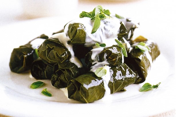 American Stuffed Vine Leaves Recipe Appetizer