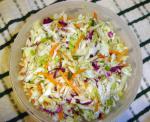 American My Favorite Tangy Coleslaw Appetizer