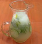 Mexican Lime and Lemonade 1 Appetizer