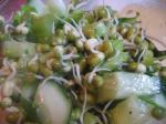 Japanese Cucumber Sprout Salad Appetizer