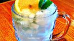 American Lemon Mint Cooler Recipe Appetizer