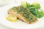American Herbcrusted Salmon Recipe 1 Appetizer