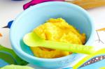 American Leek Cauliflower And Pumpkin Puree age  Months Recipe Appetizer