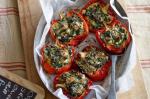 American Roasted Capsicums Stuffed With Silverbeet Feta And Dill Recipe Appetizer