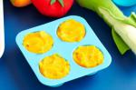 American Vegetable Puree age  Months Recipe Appetizer