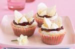 British Butterfly Cupcakes Recipe Dessert