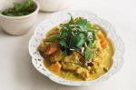 British Yellow Chicken Curry With Galangal Salad Recipe Dinner