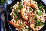 Italian Tuscan White Bean And Prawn Salad Recipe Appetizer