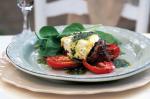 American Beef With Feta Roast Tomatoes And Basil Dressing Recipe Appetizer