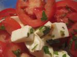 American Bandoora Fresh Tomatobasil Salad Other