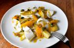 American Braised Endives With Blood Oranges Pistachios and Ricotta Salata Recipe Dessert