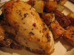 American My Famous Rosemary Garlic Chicken and Potatoes Dinner