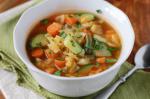 Garden Vegetable Soup 18 recipe