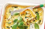 American Spinach Leek And Goats Cheese Quiche Recipe Appetizer