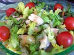 American Chicken Salad 87 Appetizer