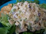 American Craisin Chicken Salad Appetizer