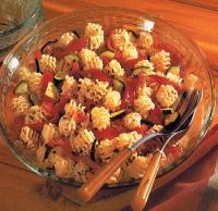 Italian Radiatore Salad with Roasted Red Pepper Appetizer