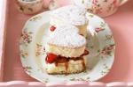 Canadian Strawberry Love Heart Sponge Cakes Recipe Dessert
