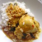 Sri Lankan Curry Chicken After Lankijsku Appetizer