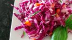 American Red Cabbage Slaw with a Twist Recipe Appetizer
