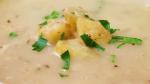 American Roasted Garlic Potato Soup Recipe Appetizer