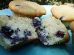 American Very Berry Blueberry Muffins Dessert